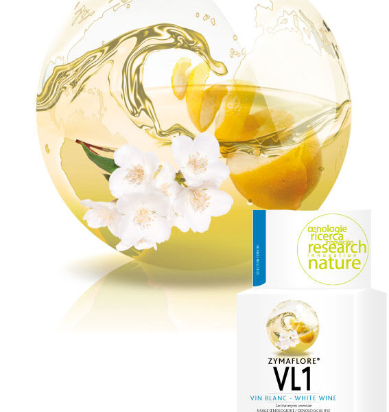 Zymaflore VL1 kvasac Laffort za bela vina i Chardonnay premium proizvodnja