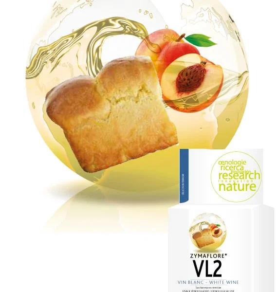 Zymaflore VL2 kvasac Laffort za barrique fermentaciju i bela vina