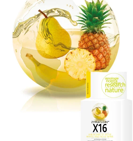 Zymaflore X16 kvasac Laffort za sigurnu fermentaciju vina